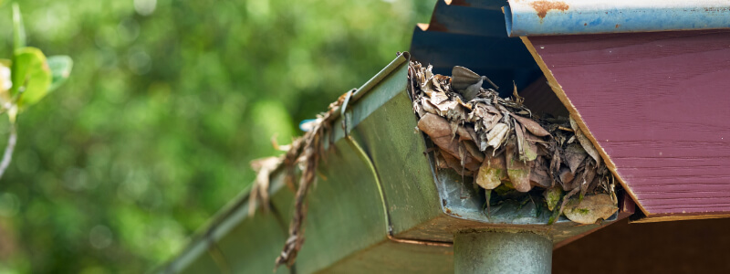 Autumn Leaves Blocking Gutters