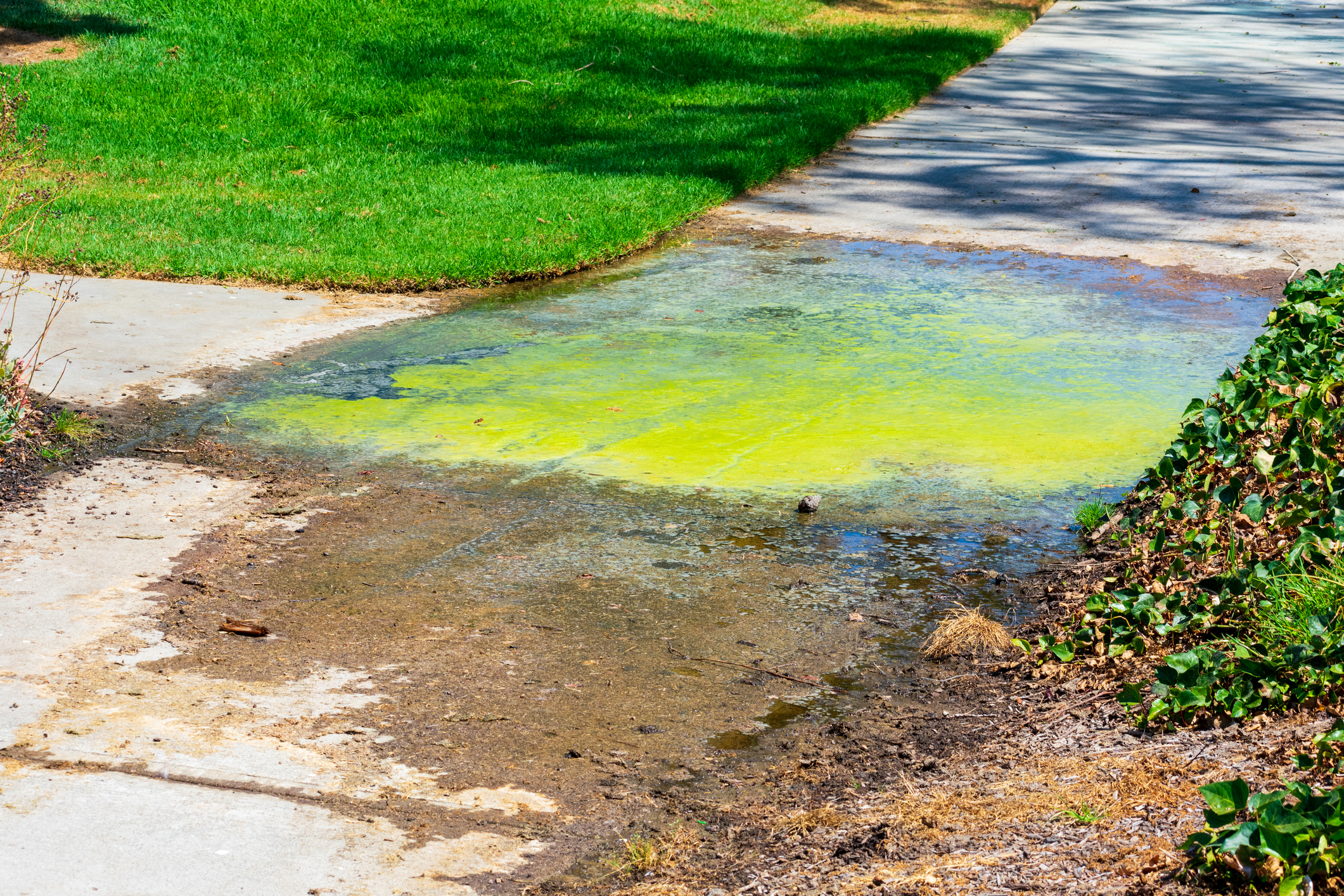 A footpath covered in drainage water