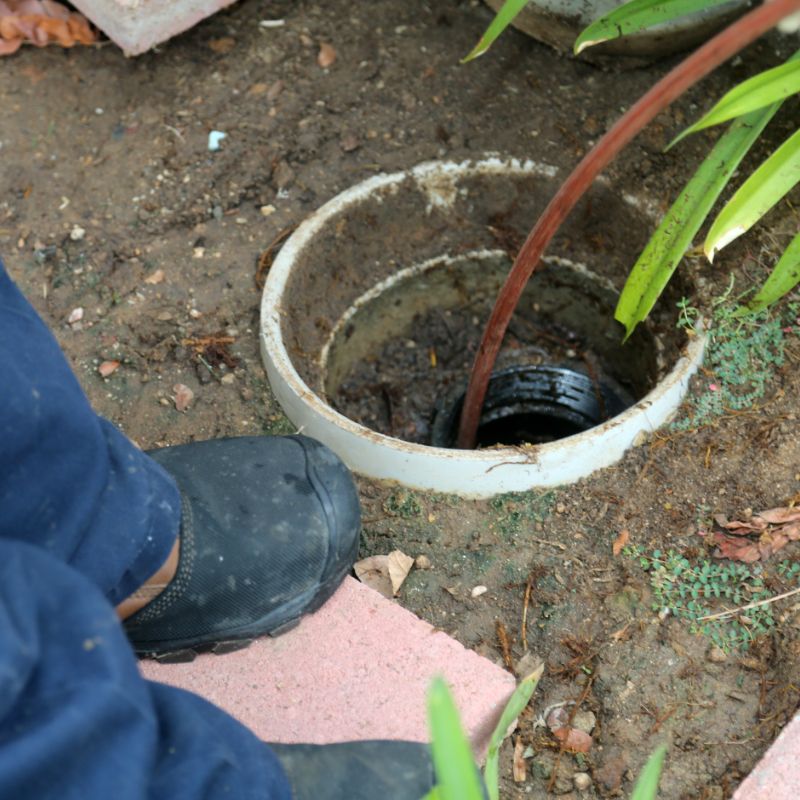 drain repair services