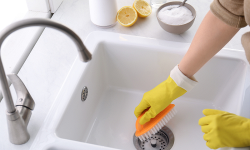 Person using a brush to clean a domestic sink