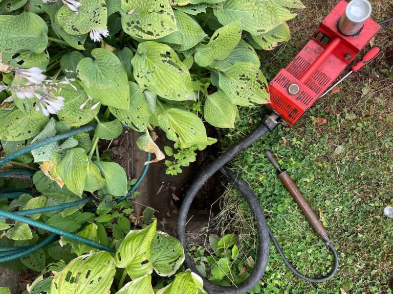 Outdoor drainage issues