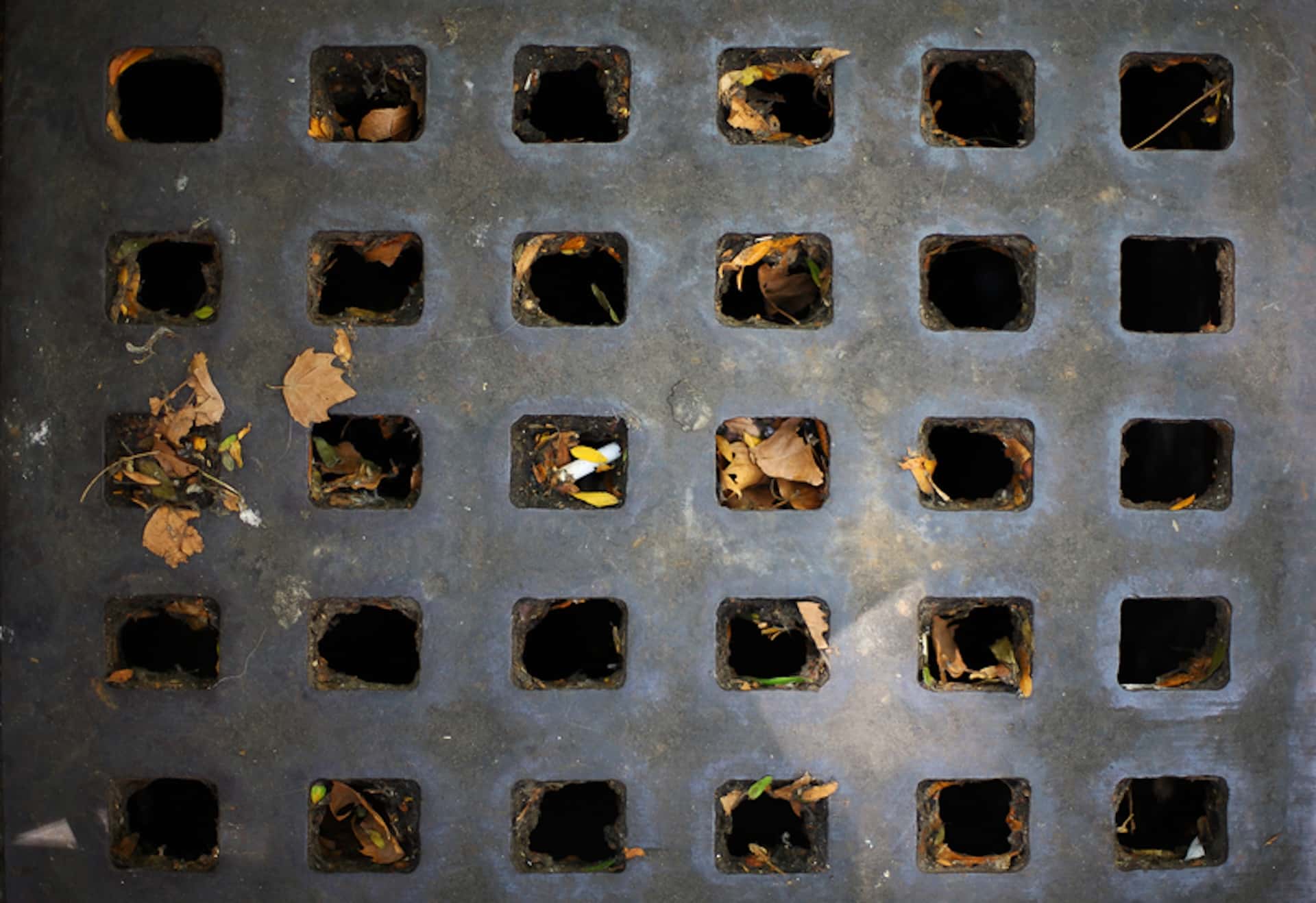 Outdoor drain blocked with leaves